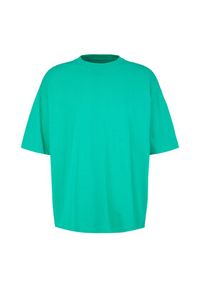 Tom Tailor Denim T-Shirt 1035912 Zielony. Kolor: zielony. Materiał: denim #5