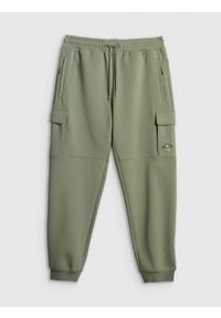 4f - 4F Spodnie dresowe cargo męskie - khaki XXL. Kolor: oliwkowy, brązowy, wielokolorowy. Materiał: dresówka #1