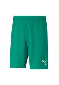Puma - Męskie Spodenki TeamRISE. Kolor: zielony. Sport: turystyka piesza