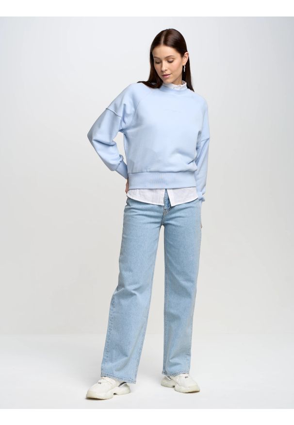 Big-Star - Bluza damska z nadrukiem 3d niebieska Jean 400. Okazja: na co dzień. Kolor: niebieski. Materiał: bawełna. Wzór: nadruk. Styl: sportowy, elegancki, casual