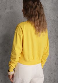 Renee - Żółta Bluza z Bawełną ze Ściągaczami przy Rękawach i w Pasie Alberia. Kolor: żółty. Materiał: bawełna #6