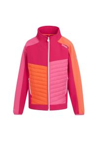 Regatta - Kurtka Dziecięca Brynden Padded Full Zip Soft Shell Jacket. Kolor: różowy #1