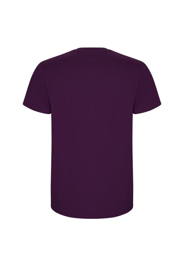 ROLY - Męska Koszulka Stafford. Kolor: fioletowy. Sport: turystyka piesza