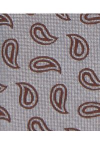 Męski Krawat - Popielaty w Brązowe Paisley - Alties. Kolor: szary, wielokolorowy, brązowy. Materiał: tkanina. Wzór: paisley. Styl: elegancki, wizytowy #2