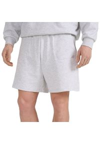 4f - Spodenki męskie 4F WSS25TSHOU54427M - szare. Kolor: szary. Materiał: poliester, bawełna, dresówka. Długość: do kolan. Sport: fitness #1