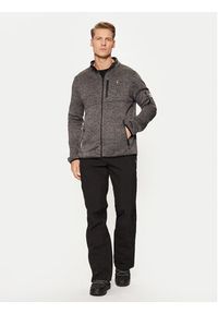 Aulp Bluza techniczna Navoy Szary Regular Fit. Kolor: szary. Materiał: syntetyk #2