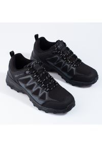 Męskie buty trekkingowe DK czarne. Kolor: czarny. Materiał: materiał #3