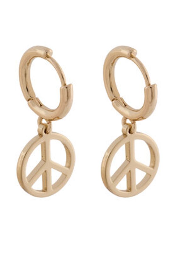 Aldo Zestaw kolczyków Charmiies 13994892 Złoty. Materiał: metalowe. Kolor: złoty