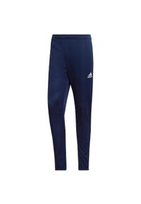 Adidas - Entrada 22 Training Pants. Kolor: niebieski. Materiał: materiał. Sport: piłka nożna #1