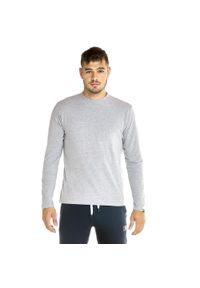 LEONE 1947 APPAREL - Męska koszulka Leone z długim rękawem Urban. Kolor: szary. Materiał: tkanina. Długość rękawa: długi rękaw. Długość: długie. Sport: fitness