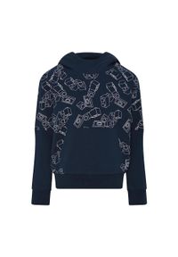 LEGO Wear - Bluza trekkingowa dziecięca LEGO Lwstorm 214. Kolor: niebieski