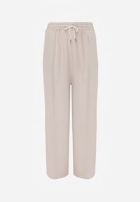 Renee - Jasnobeżowe Spodnie High Waist ze Sznurkiem w Talii i Prostą Nogawką Raveann. Okazja: na spacer, na co dzień. Stan: podwyższony. Kolor: beżowy. Wzór: aplikacja. Styl: casual #8