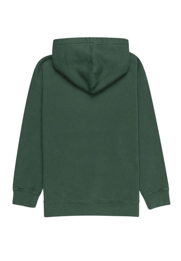 Bluza sportowa chłopięca Element Cornell 3.0. Kolor: zielony. Materiał: bawełna