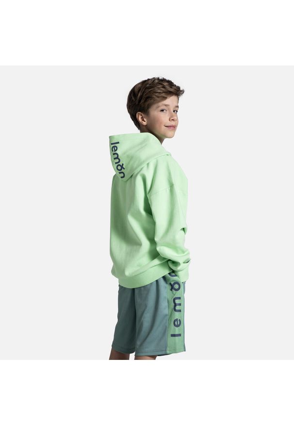 Lemon Explore - Bluza sportowa dziecięca Lemon Exlopre WL5. Typ kołnierza: kaptur. Kolor: zielony. Materiał: bawełna, poliester