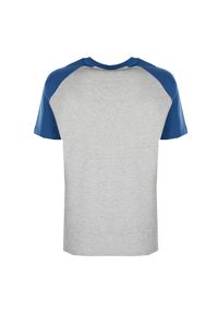 Champion T-Shirt | 212688 | Mężczyzna | Niebieski, Szary. Okazja: na co dzień. Kolor: wielokolorowy, niebieski, szary. Materiał: wiskoza, bawełna. Wzór: nadruk. Styl: casual