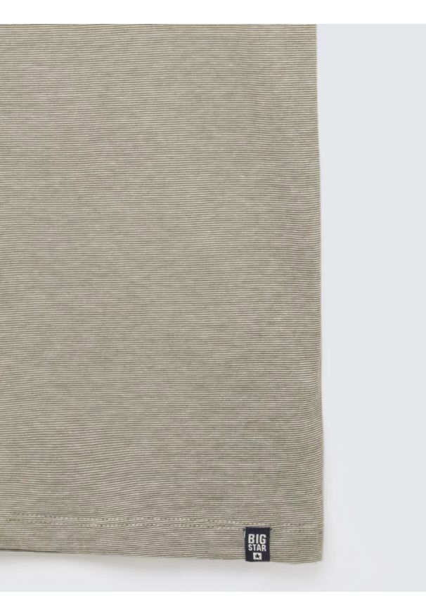 Big-Star - Koszulka męska w drobne paski khaki Fredriser 303. Okazja: na co dzień, do pracy. Kolor: zielony. Materiał: dzianina, jeans. Wzór: paski. Styl: casual