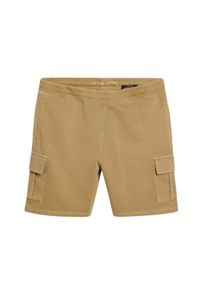 Spodenki cargo z kontrastowymi szwami Superdry. Kolor: beżowy. Długość: krótkie. Sezon: lato #1