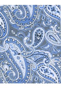 Męski Krawat - Chattier - Odcienie Błękitu, Wzór Paisley. Kolor: niebieski. Materiał: tkanina. Wzór: paisley. Styl: elegancki, klasyczny, wizytowy #5