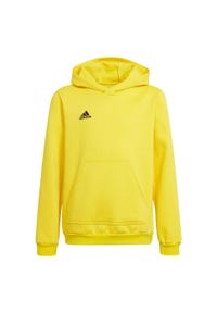 Adidas - Bluza piłkarska dla dzieci adidas Entrada 22 Hoody. Kolor: wielokolorowy, czarny, żółty. Sport: piłka nożna