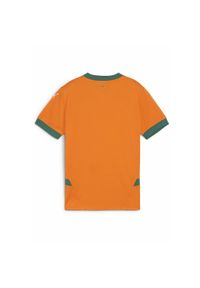 Puma - Młodzieżowa trzecia koszulka Valencia CF 24/25 PUMA Rickie Orange Vine. Kolor: żółty, pomarańczowy, wielokolorowy