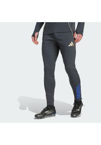 Adidas - Spodnie dresowe OL 2025/26. Kolor: szary, wielokolorowy, beżowy. Materiał: dresówka. Sport: piłka nożna