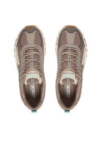 skechers - Skechers Sneakersy D'Lites Hiker 180128/CHTN Brązowy. Kolor: brązowy. Materiał: materiał