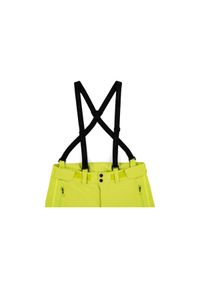 Wodoodporne spodnie narciarskie Kilpi Dermizax Lazzaro. Kolor: zielony. Technologia: Dermizax. Sezon: zima. Sport: narciarstwo #1