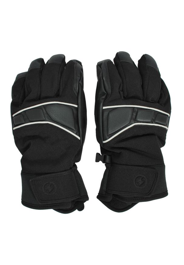 BLIZZARD - Męskie rękawice narciarskie Blizzard Profi. Kolor: czarny. Sezon: zima. Sport: narciarstwo