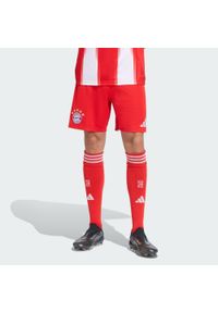 Adidas - Szorty podstawowe FC Bayern 25/26. Kolor: czerwony. Sport: piłka nożna