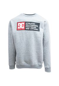 Bluza męskie DC Shoes Density Zone. Kolor: szary. Materiał: bawełna, materiał. Długość rękawa: długi rękaw #1