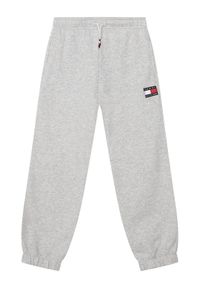 TOMMY HILFIGER - Tommy Hilfiger Spodnie dresowe KS0KS00715 Szary Regular Fit. Kolor: szary. Materiał: bawełna #1