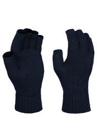 Regatta - Męskie Rękawiczki Robocze Thermal. Kolor: niebieski #1