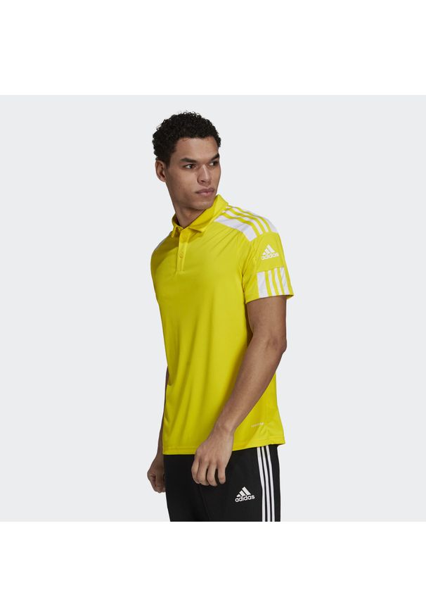 Koszulka polo do piłki nożnej męska Adidas Squadra 21 Polo z krótkim rękawem. Typ kołnierza: polo. Kolor: biały, żółty, wielokolorowy. Długość rękawa: krótki rękaw. Długość: krótkie