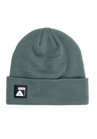 Czapka zimowa męska Poler Daily Driver Beanie. Kolor: zielony. Materiał: akryl. Sezon: zima