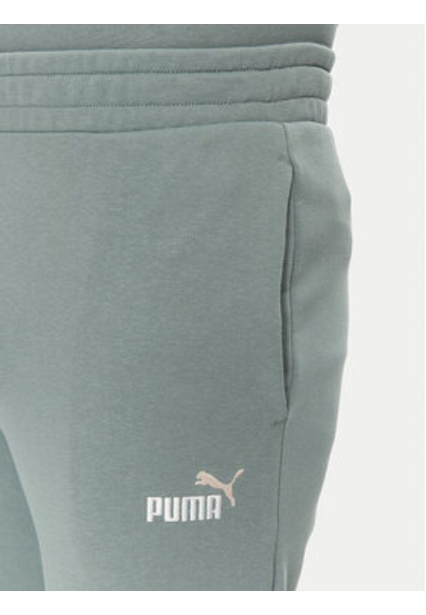Puma Spodnie dresowe Ess 684714 Zielony Regular Fit. Kolor: zielony. Materiał: bawełna, syntetyk