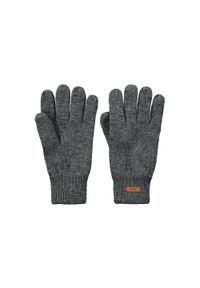 Rękawice Barts Haakon. Kolor: wielokolorowy, szary, zielony, brązowy. Materiał: wełna, polar. Sport: turystyka piesza #1