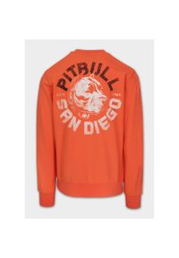 PITBULL - Bluza męska Pitbull DOG SD. Kolor: różowy