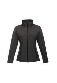 Regatta - Kurtka Damska Octagon II Soft Shell. Kolor: czarny, szary, wielokolorowy. Sport: turystyka piesza