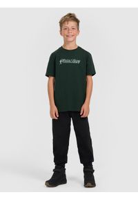 4f - 4F T-shirt regular z nadrukiem chłopięcy - zielony 146 (10-11 lat). Kolor: zielony. Wzór: nadruk. Sezon: lato