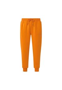 Oakley Spodnie Relax Jogger 2.0 Foa404843-52C. Kolor: pomarańczowy