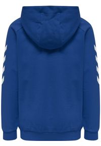 Bluza sportowa z kapturem dla dzieci Hummel Go Kids Cotton Hoodie. Typ kołnierza: kaptur. Kolor: biały, wielokolorowy, niebieski