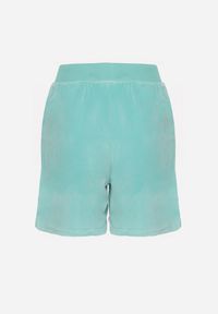 Born2be - Jasnozielone Welurowe Szorty Ozdobione Wiązaniem Ralladia. Okazja: na spacer, na co dzień. Kolor: zielony. Materiał: welur. Wzór: aplikacja. Styl: casual #6