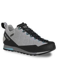 Buty trekkingowe damskie Dolomite Crodarossa Low GTX 2.0. Kolor: wielokolorowy, niebieski, szary