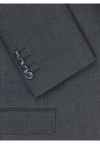 Pako Lorente - PAKO LORENTE – Szara jednorzędowa marynarka męska. Kolor: szary #4