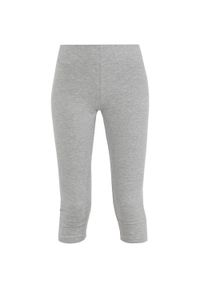 ZSPORT - Legginsy 3/4 damskie ATHL. DPT. Lunar Grey, 94% bawełna.. Kolor: szary. Materiał: bawełna #1