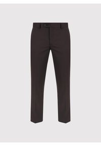 Pako Lorente - PAKO LORENTE – Brązowe spodnie garniturowe. Okazja: na spotkanie biznesowe. Kolor: brązowy. Materiał: poliester, wełna. Styl: biznesowy #7