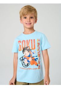 Sinsay - Koszulka Dragon Ball - szary. Kolor: szary