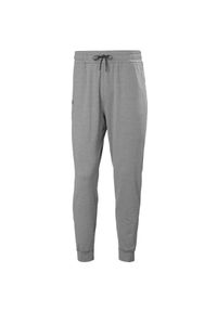 Spodnie Helly Hansen Tyri. Kolor: szary. Sezon: lato. Sport: turystyka piesza #1
