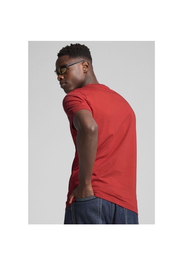 Puma - Męska koszulka Essentials Logo Lab PUMA Red Fire. Kolor: czerwony. Materiał: guma. Wzór: nadruk