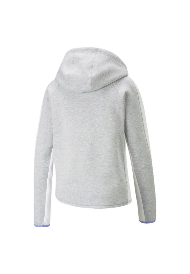 Bluza dresowa damska Puma EVOSTRIPE. Kolor: szary. Materiał: dresówka